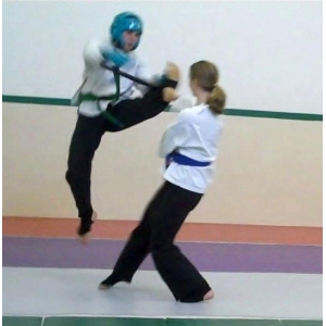 taekwondo fighting