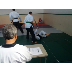 testing taekwondo students